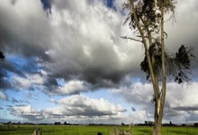 欧博:帽子戏法!B费生涯在欧联杯45次出场贡献24球21助攻.