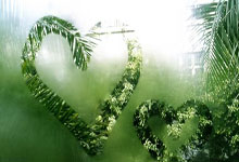 穆斯卡特故地重伤 为横滨队祝福 海港惨败出局.