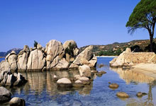 狂轰39+10+10，约基奇创队史第1神迹，掘金力擒雄鹿！威少9中2.